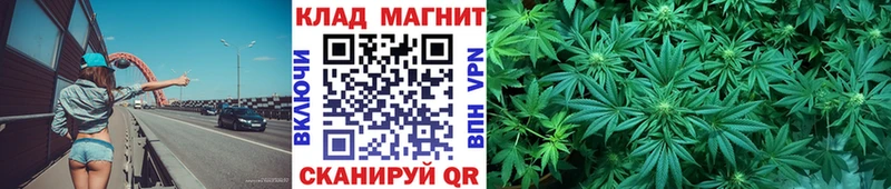 Магазины продажи наркотиков Малаховка Cocaine Меф ГАШИШ А ПВП МДМА Канабис