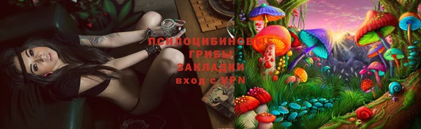 spice Алексеевка