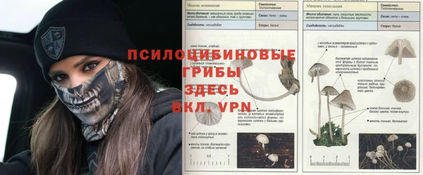 спайс Алзамай