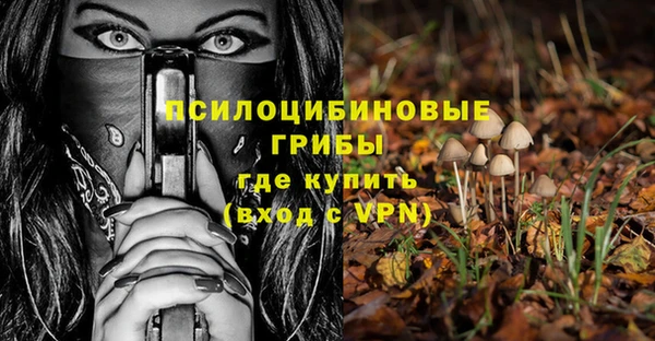 спайс Алзамай
